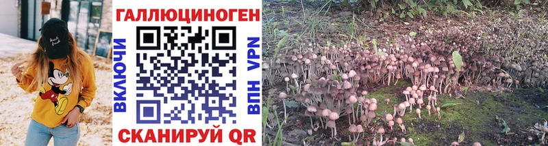 Псилоцибиновые грибы прущие грибы  где продают   darknet официальный сайт  Приморско-Ахтарск 